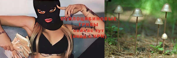 гашишное масло Вяземский