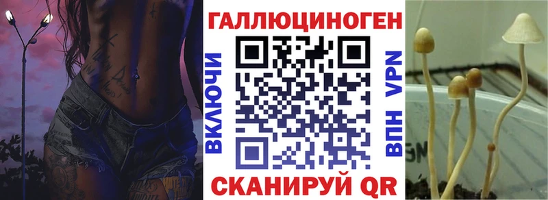 дарнет шоп  Новохопёрск  Псилоцибиновые грибы прущие грибы 